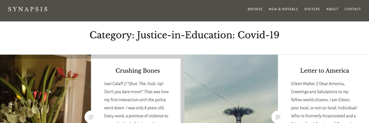 Screenshot of Synapsis Journal Header